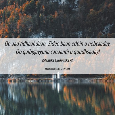 Picture 06 - Maahmaahyadii 5:12 SOM - Oo aad tidhaahdaan, Sidee baan edbin u nebcaaday, - Bible Verse Picture