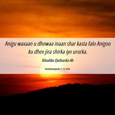 Picture 06 - Maahmaahyadii 5:14 SOM - Anigu waxaan u dhowaa inaan shar kasta falo - Bible Verse Picture