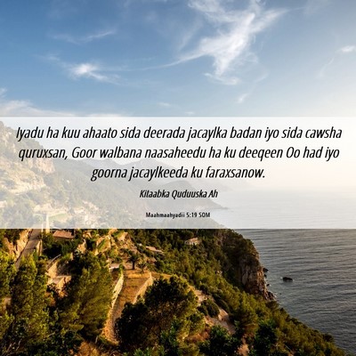Picture 06 - Maahmaahyadii 5:19 SOM - Iyadu ha kuu ahaato sida deerada jacaylka badan - Bible Verse Picture