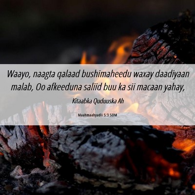 Picture 06 - Maahmaahyadii 5:3 SOM - Waayo, naagta qalaad bushimaheedu waxay daadiyaan - Bible Verse Picture