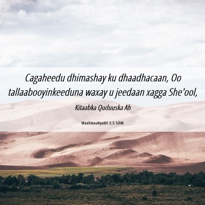 Picture 06 - Maahmaahyadii 5:5 SOM - Cagaheedu dhimashay ku dhaadhacaan, Oo - Bible Verse Picture