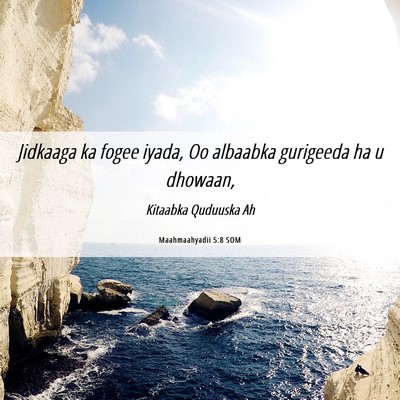 Picture 06 - Maahmaahyadii 5:8 SOM - Jidkaaga ka fogee iyada, Oo albaabka gurigeeda ha - Bible Verse Picture