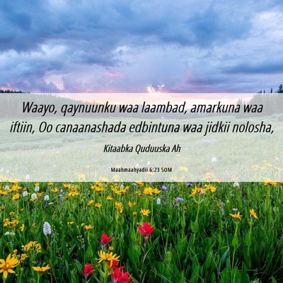 Picture 06 - Maahmaahyadii 6:23 SOM - Waayo, qaynuunku waa laambad, amarkuna waa - Bible Verse Picture