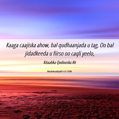 Picture 06 - Maahmaahyadii 6:6 SOM - Kaaga caajiska ahow, bal qudhaanjada u tag, Oo - Bible Verse Picture