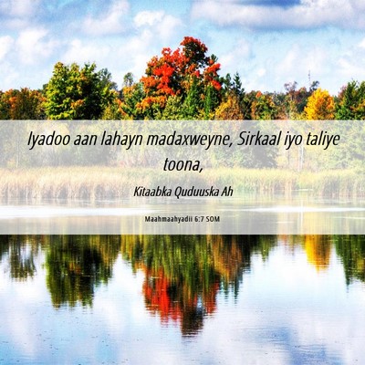Picture 06 - Maahmaahyadii 6:7 SOM - Iyadoo aan lahayn madaxweyne, Sirkaal iyo taliye - Bible Verse Picture