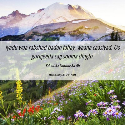 Picture 06 - Maahmaahyadii 7:11 SOM - Iyadu waa rabshad badan tahay, waana caasiyad, Oo - Bible Verse Picture
