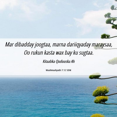 Picture 06 - Maahmaahyadii 7:12 SOM - Mar dibadday joogtaa, marna dariiqyaday maraysaa, - Bible Verse Picture