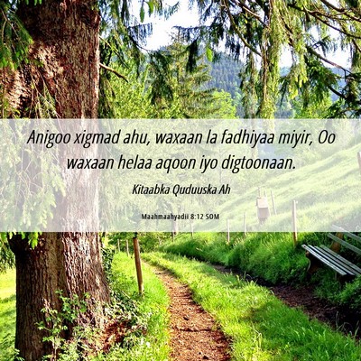 Picture 06 - Maahmaahyadii 8:12 SOM - Anigoo xigmad ahu, waxaan la fadhiyaa miyir, Oo - Bible Verse Picture