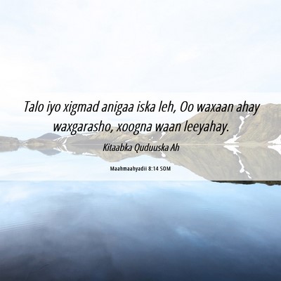 Picture 06 - Maahmaahyadii 8:14 SOM - Talo iyo xigmad anigaa iska leh, Oo waxaan ahay - Bible Verse Picture