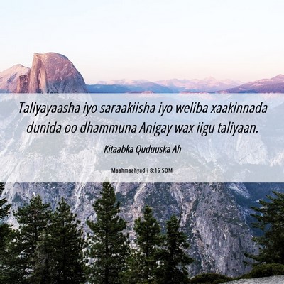 Picture 06 - Maahmaahyadii 8:16 SOM - Taliyayaasha iyo saraakiisha iyo weliba - Bible Verse Picture