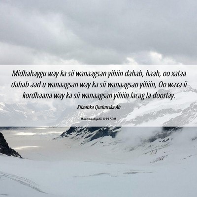Picture 06 - Maahmaahyadii 8:19 SOM - Midhahaygu way ka sii wanaagsan yihiin dahab, - Bible Verse Picture