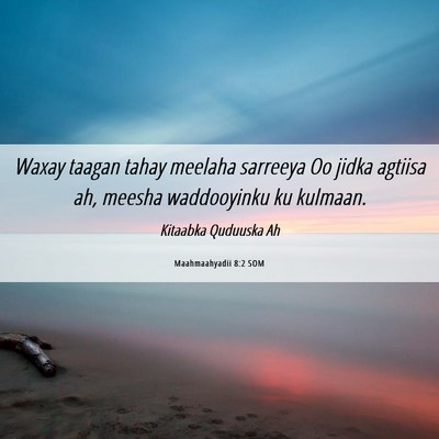 Picture 06 - Maahmaahyadii 8:2 SOM - Waxay taagan tahay meelaha sarreeya Oo jidka - Bible Verse Picture