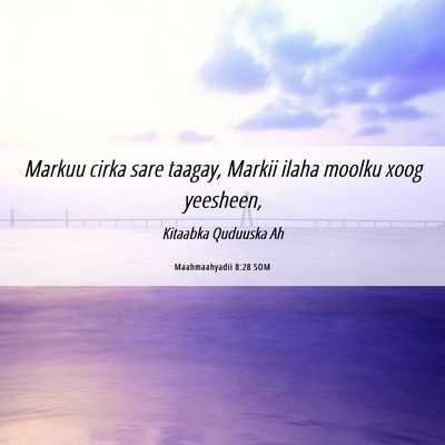 Picture 06 - Maahmaahyadii 8:28 SOM - Markuu cirka sare taagay, Markii ilaha moolku - Bible Verse Picture