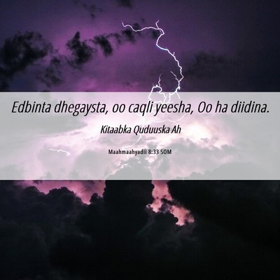 Picture 06 - Maahmaahyadii 8:33 SOM - Edbinta dhegaysta, oo caqli yeesha, Oo ha - Bible Verse Picture
