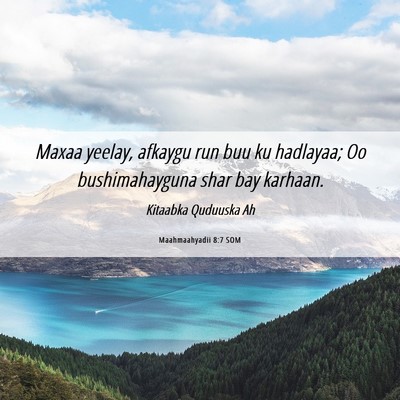 Picture 06 - Maahmaahyadii 8:7 SOM - Maxaa yeelay, afkaygu run buu ku hadlayaa; Oo - Bible Verse Picture