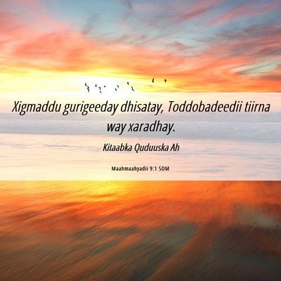 Picture 06 - Maahmaahyadii 9:1 SOM - Xigmaddu gurigeeday dhisatay, Toddobadeedii - Bible Verse Picture
