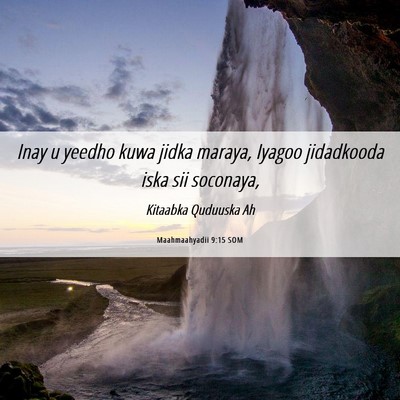 Picture 06 - Maahmaahyadii 9:15 SOM - Inay u yeedho kuwa jidka maraya, Iyagoo - Bible Verse Picture