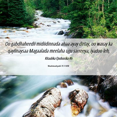 Picture 06 - Maahmaahyadii 9:3 SOM - Oo gabdhaheedii midiidinnada ahaa ayay dirtay, oo - Bible Verse Picture