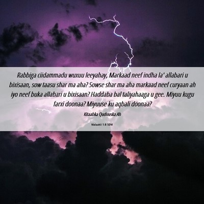 Picture 06 - Malaakii 1:8 SOM - Rabbiga ciidammadu wuxuu leeyahay, Markaad neef - Bible Verse Picture