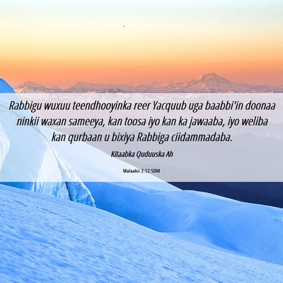 Picture 06 - Malaakii 2:12 SOM - Rabbigu wuxuu teendhooyinka reer Yacquub uga - Bible Verse Picture