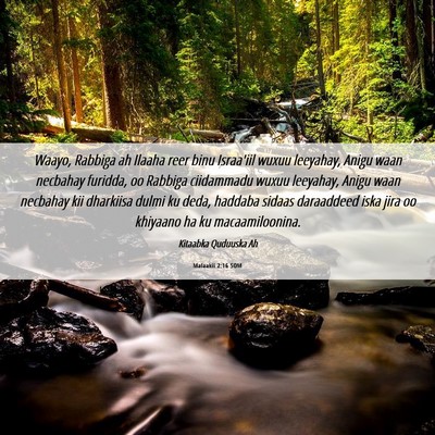 Picture 06 - Malaakii 2:16 SOM - Waayo, Rabbiga ah Ilaaha reer binu Israa'iil - Bible Verse Picture