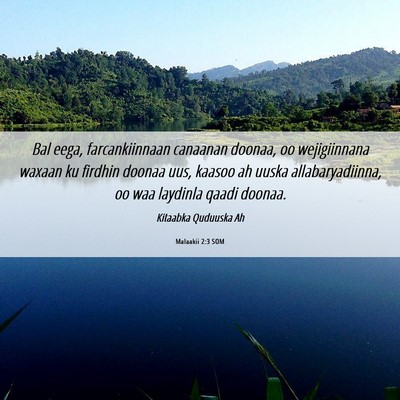 Picture 06 - Malaakii 2:3 SOM - Bal eega, farcankiinnaan canaanan doonaa, oo - Bible Verse Picture