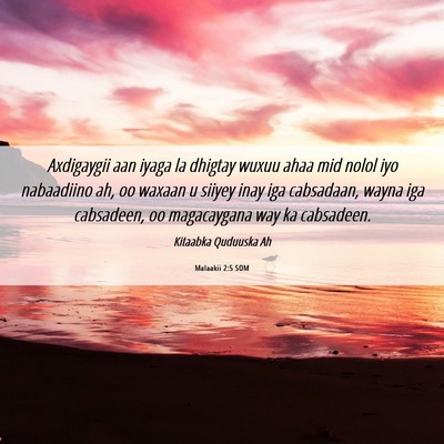 Picture 06 - Malaakii 2:5 SOM - Axdigaygii aan iyaga la dhigtay wuxuu ahaa mid - Bible Verse Picture