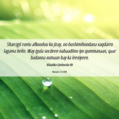 Picture 06 - Malaakii 2:6 SOM - Sharcigii runtu afkooduu ku jiray, oo - Bible Verse Picture