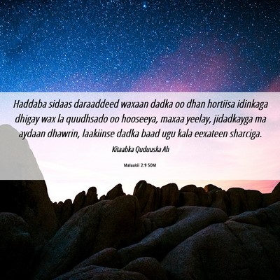 Picture 06 - Malaakii 2:9 SOM - Haddaba sidaas daraaddeed waxaan dadka oo dhan - Bible Verse Picture