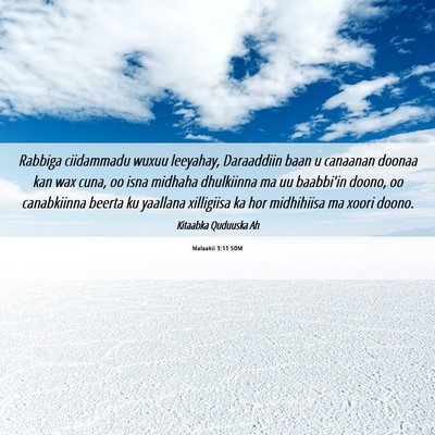 Picture 06 - Malaakii 3:11 SOM - Rabbiga ciidammadu wuxuu leeyahay, Daraaddiin - Bible Verse Picture