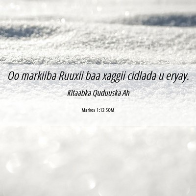 Picture 06 - Markos 1:12 SOM - Oo markiiba Ruuxii baa xaggii cidlada u - Bible Verse Picture