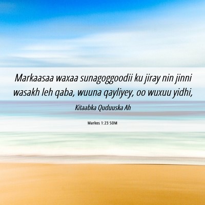 Picture 06 - Markos 1:23 SOM - Markaasaa waxaa sunagoggoodii ku jiray nin jinni - Bible Verse Picture