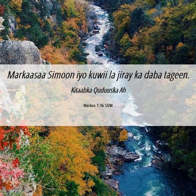 Picture 06 - Markos 1:36 SOM - Markaasaa Simoon iyo kuwii la jiray ka daba - Bible Verse Picture