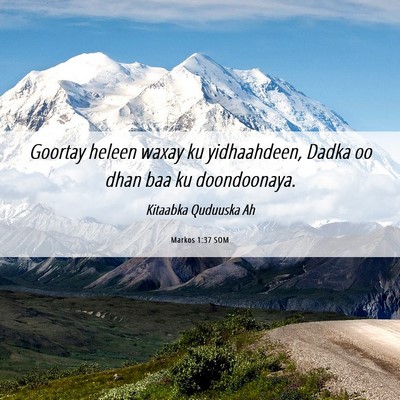 Picture 06 - Markos 1:37 SOM - Goortay heleen waxay ku yidhaahdeen, Dadka oo - Bible Verse Picture