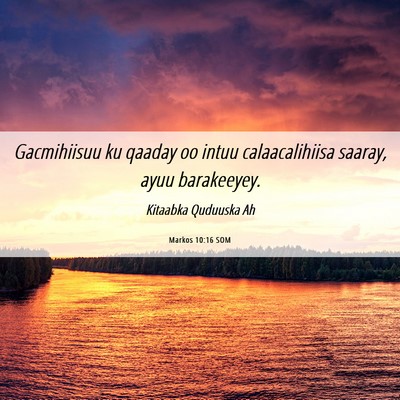 Picture 06 - Markos 10:16 SOM - Gacmihiisuu ku qaaday oo intuu calaacalihiisa - Bible Verse Picture