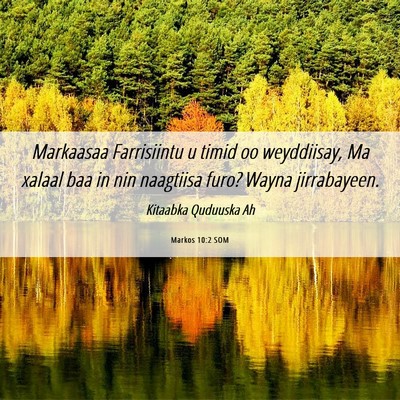 Picture 06 - Markos 10:2 SOM - Markaasaa Farrisiintu u timid oo weyddiisay, Ma - Bible Verse Picture