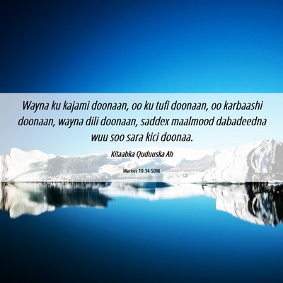 Picture 06 - Markos 10:34 SOM - Wayna ku kajami doonaan, oo ku tufi doonaan, oo - Bible Verse Picture