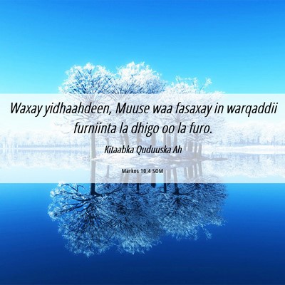 Picture 06 - Markos 10:4 SOM - Waxay yidhaahdeen, Muuse waa fasaxay in warqaddii - Bible Verse Picture