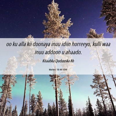 Picture 06 - Markos 10:44 SOM - oo ku alla kii doonaya inuu idiin horreeyo, kulli - Bible Verse Picture