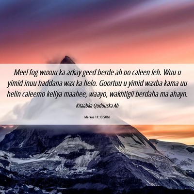 Picture 06 - Markos 11:13 SOM - Meel fog wuxuu ka arkay geed berde ah oo caleen - Bible Verse Picture