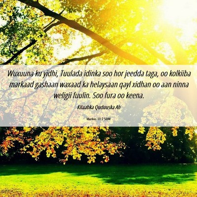 Picture 06 - Markos 11:2 SOM - Wuxuuna ku yidhi, Tuulada idinka soo hor jeedda - Bible Verse Picture