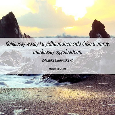 Picture 06 - Markos 11:6 SOM - Kolkaasay waxay ku yidhaahdeen sida Ciise u - Bible Verse Picture