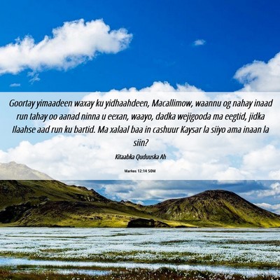 Picture 06 - Markos 12:14 SOM - Goortay yimaadeen waxay ku yidhaahdeen, - Bible Verse Picture
