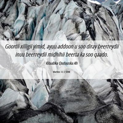 Picture 06 - Markos 12:2 SOM - Goortii xilligii yimid, ayuu addoon u soo diray - Bible Verse Picture