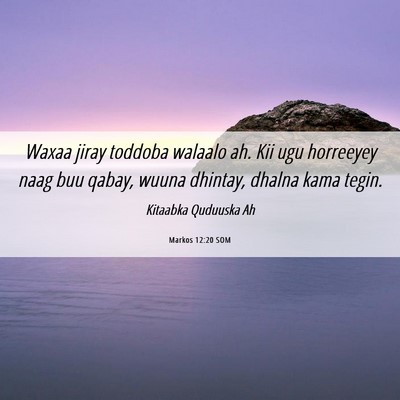 Picture 06 - Markos 12:20 SOM - Waxaa jiray toddoba walaalo ah. Kii ugu horreeyey - Bible Verse Picture