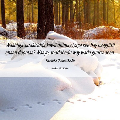 Picture 06 - Markos 12:23 SOM - Wakhtiga sarakicidda kuwii dhintay iyaga kee bay - Bible Verse Picture