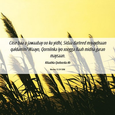 Picture 06 - Markos 12:24 SOM - Ciise baa u jawaabay oo ku yidhi, Sidaa darteed - Bible Verse Picture