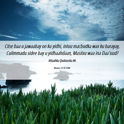 Picture 06 - Markos 12:35 SOM - Ciise baa u jawaabay oo ku yidhi, intuu macbudka - Bible Verse Picture
