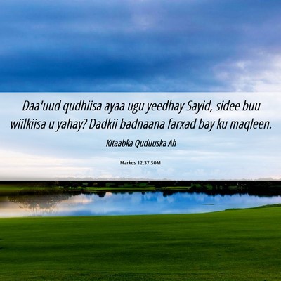 Picture 06 - Markos 12:37 SOM - Daa'uud qudhiisa ayaa ugu yeedhay Sayid, sidee - Bible Verse Picture