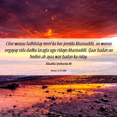 Picture 06 - Markos 12:41 SOM - Ciise wuxuu fadhiistay meel ka hor jeedda - Bible Verse Picture